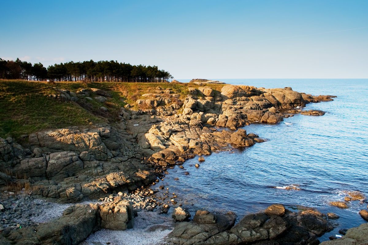 Arapya Beach