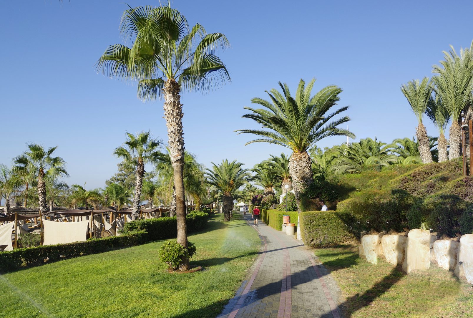 Armonia Beach