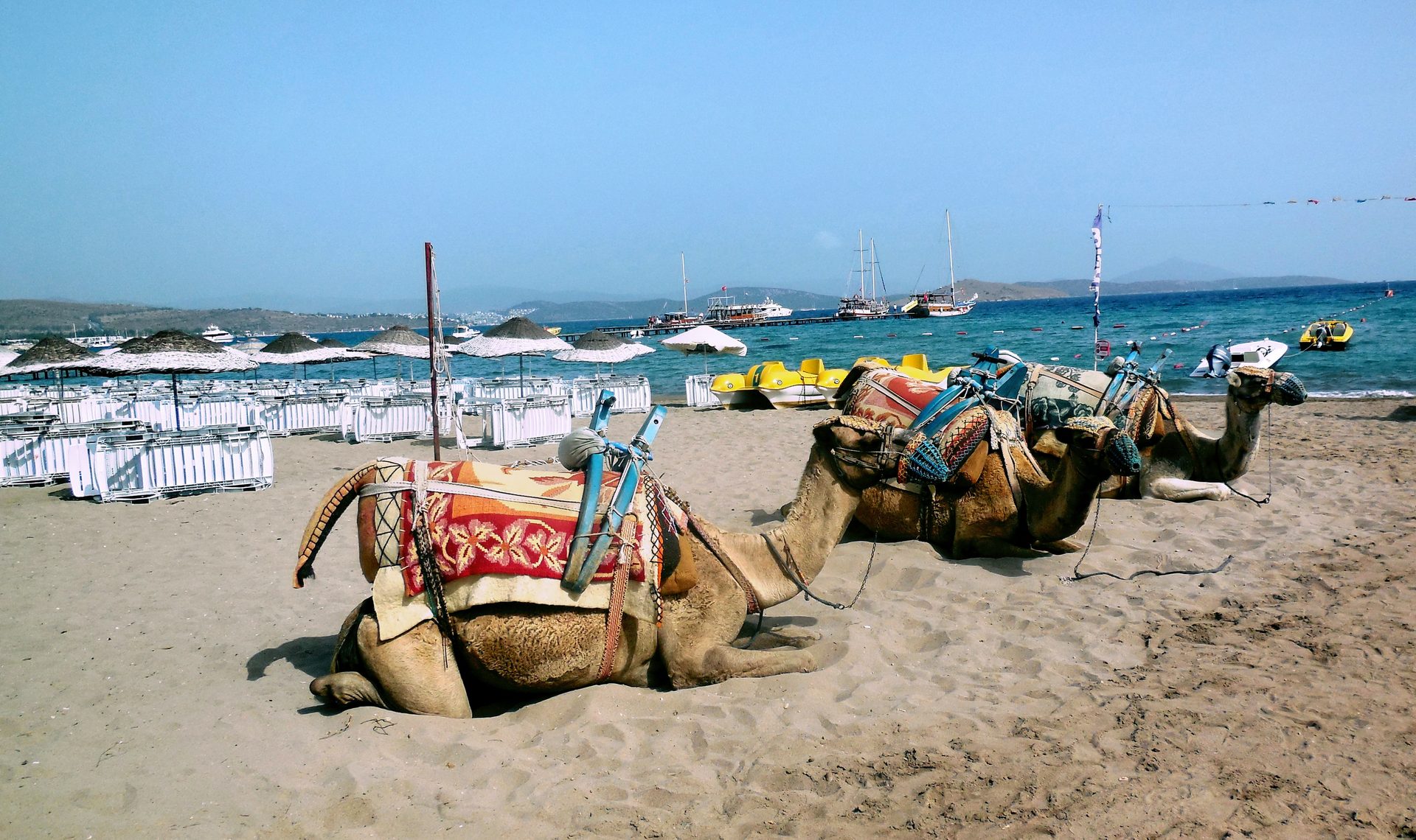 Camel Beach (Kargı)