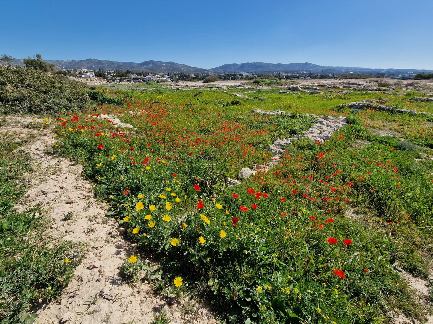 Corallia Beach (Laourou)