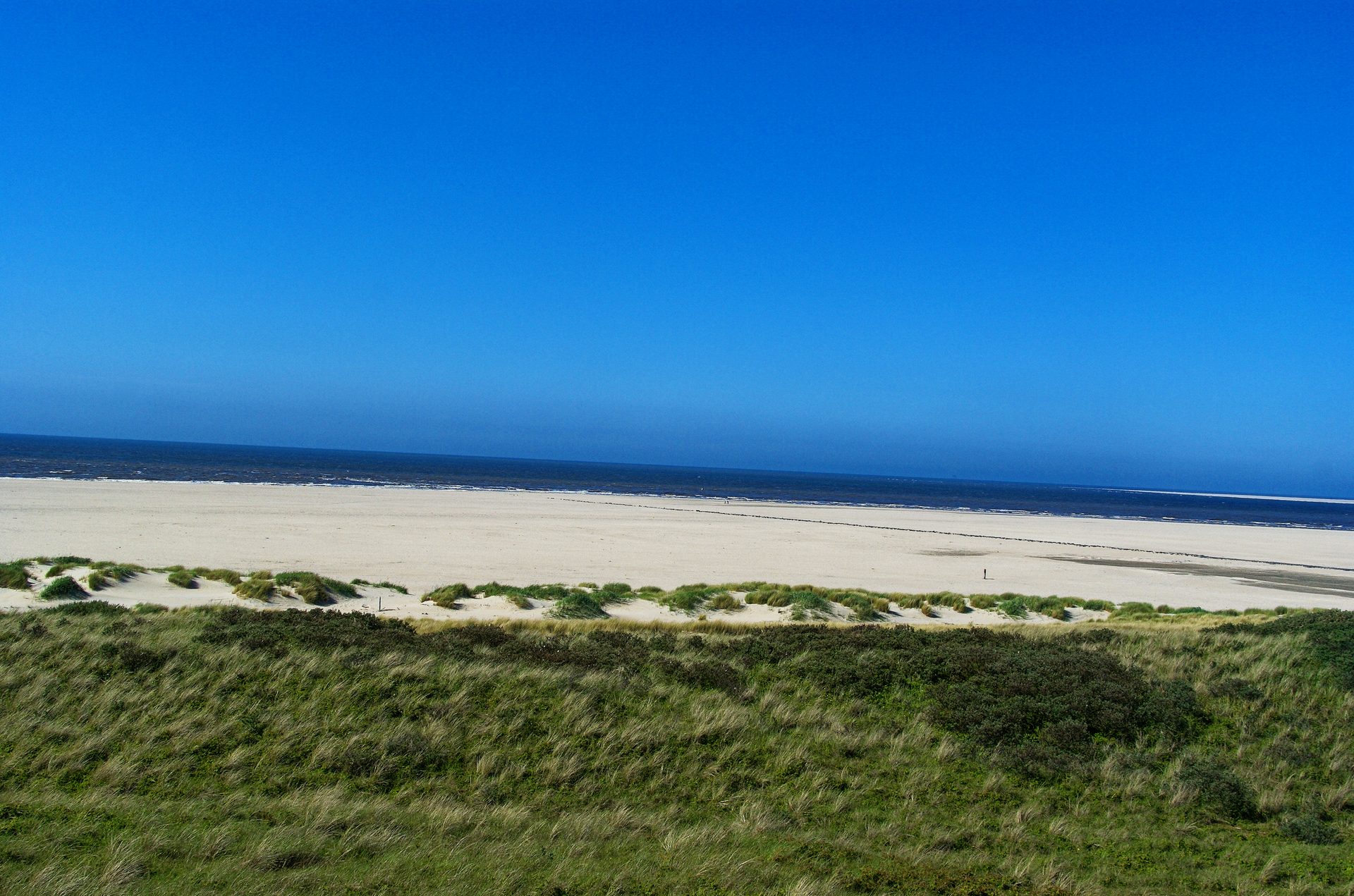 Texel Island Beach (De Koog)