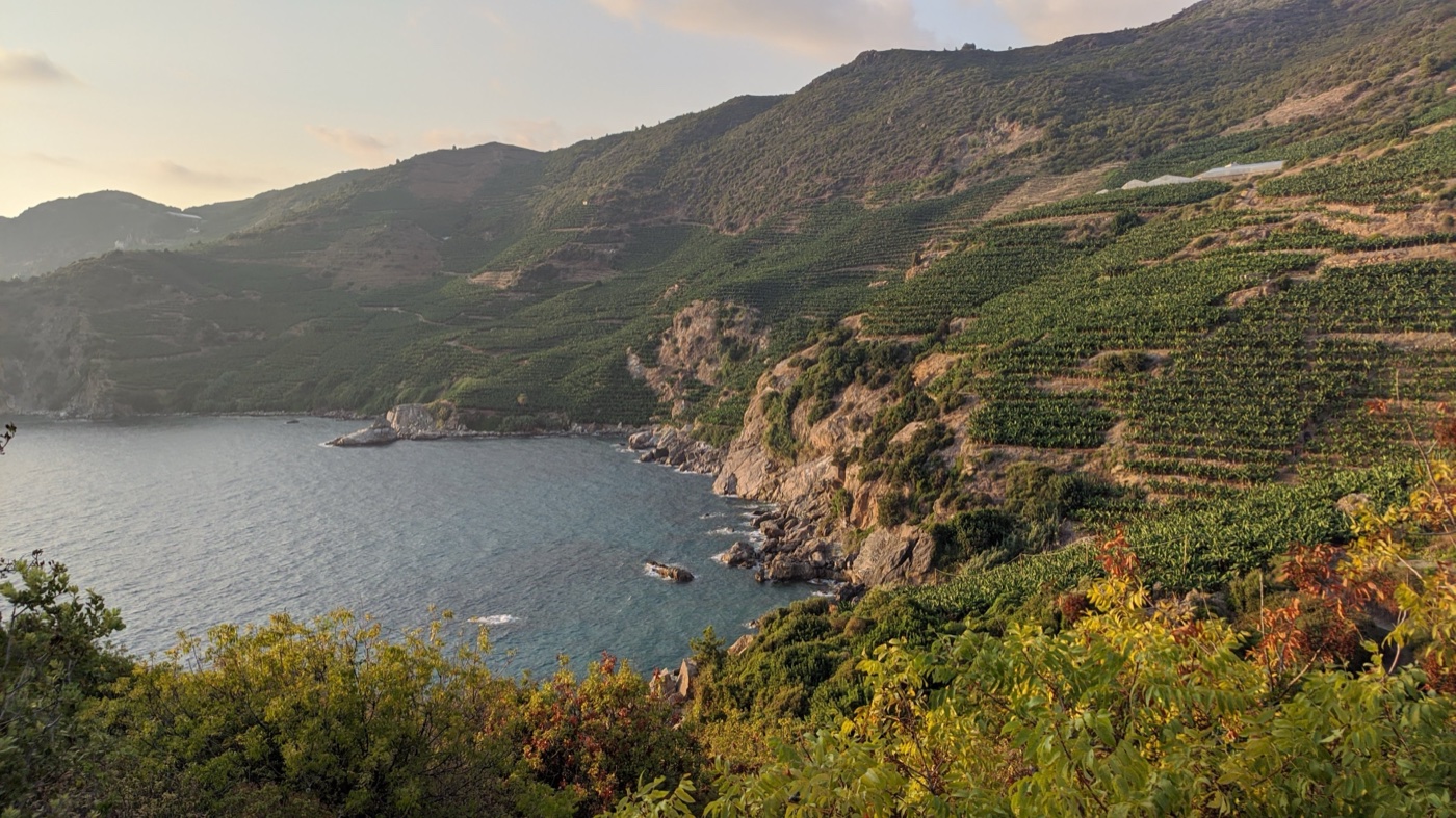 Delikdeniz Kral Koyu