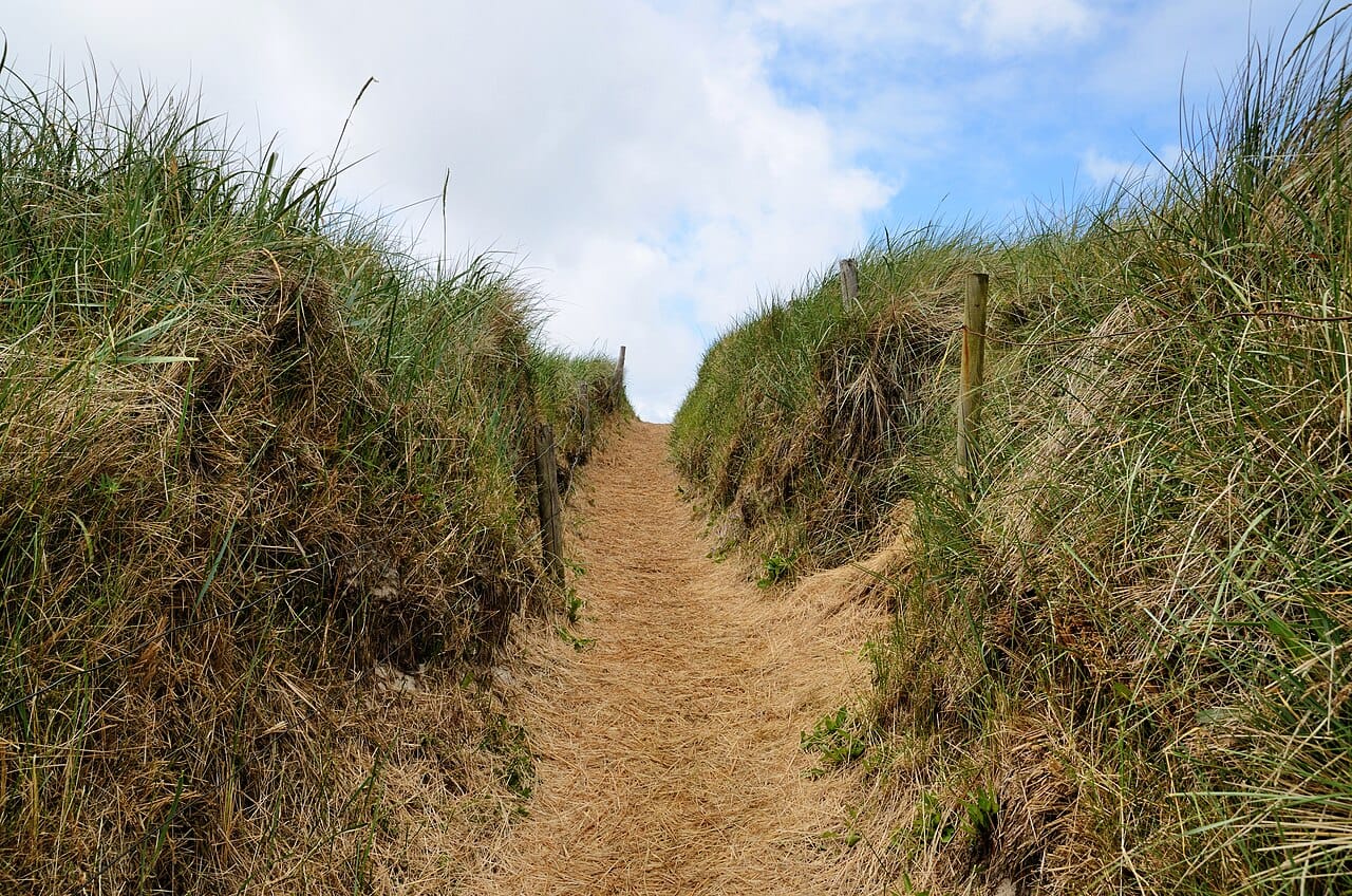 Henne Strand in West Jutland, Denmark