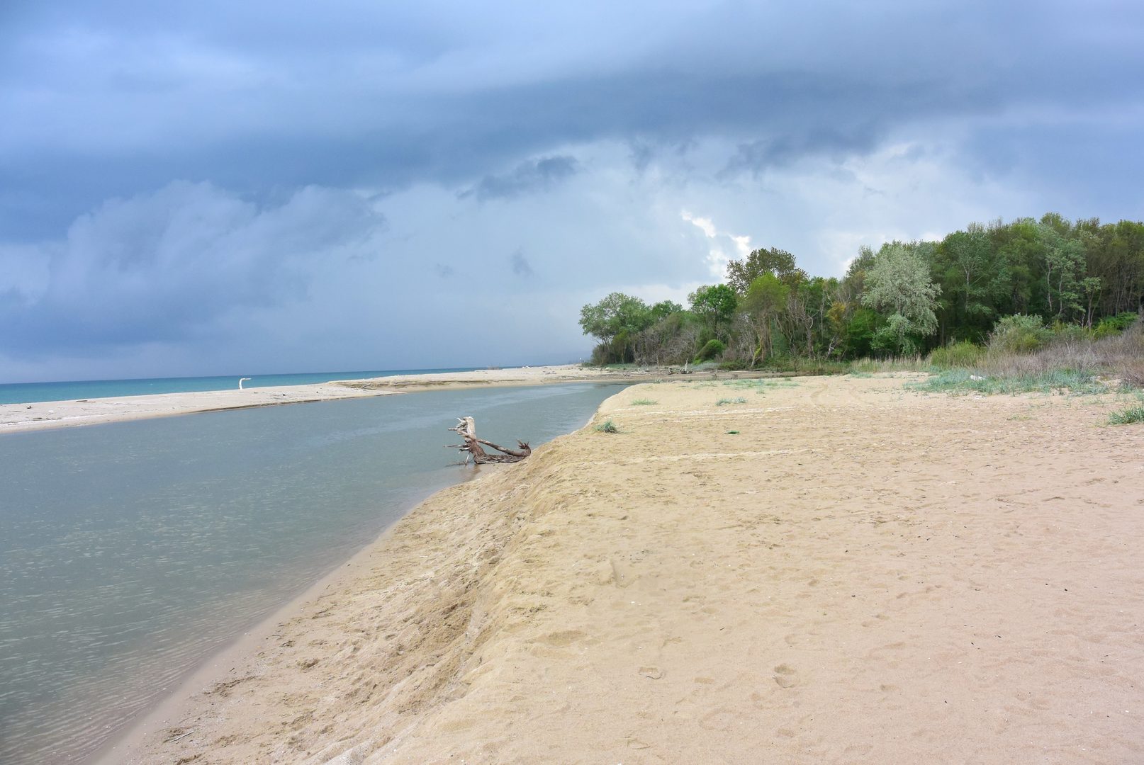 Kamchia River Reserve Beach