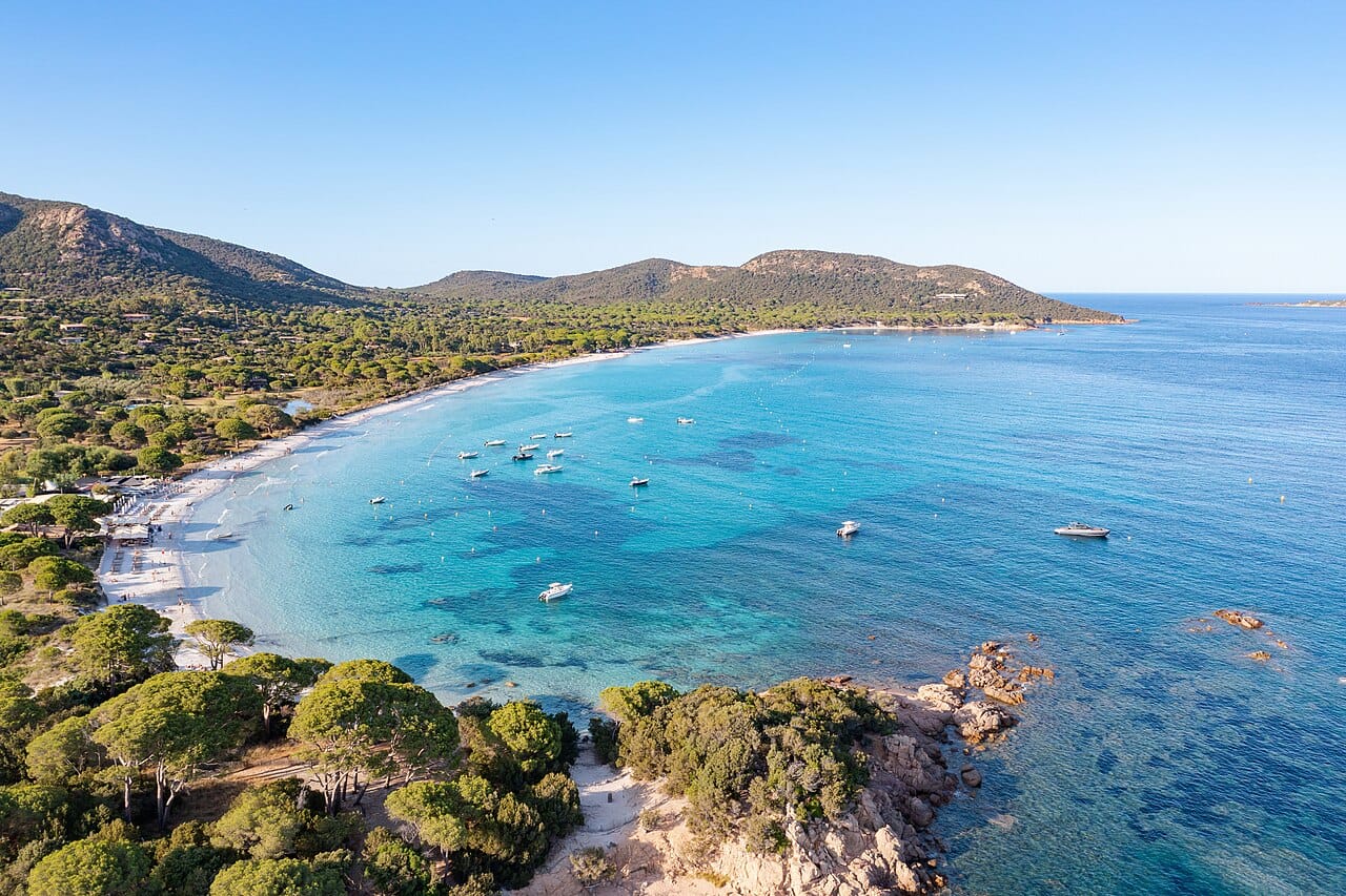 Crystalline turquoise waters and umbrella pine trees at Plage de Palombaggia in Corsica