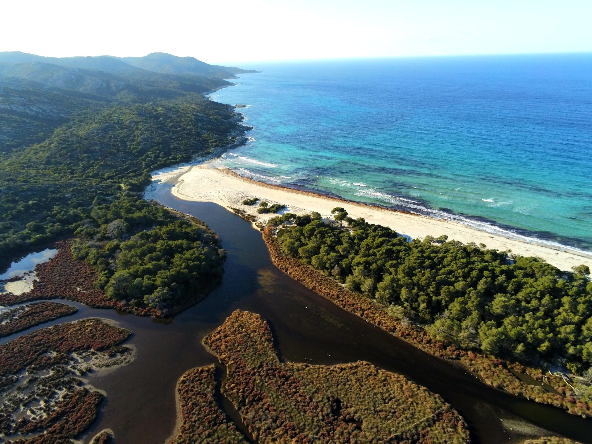Plage de Saleccia