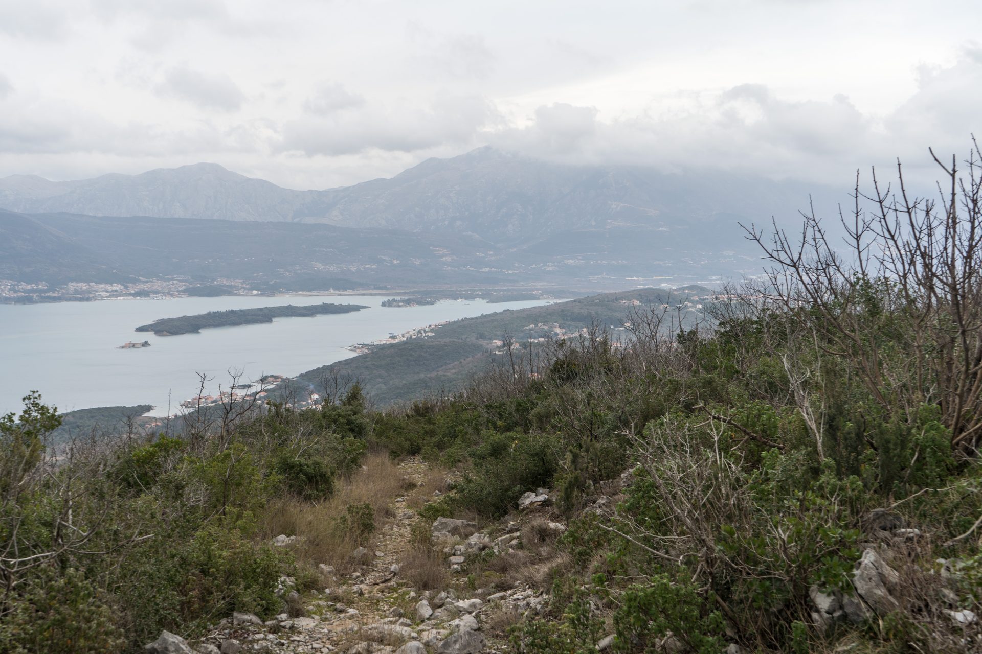 Plavi Horizonti