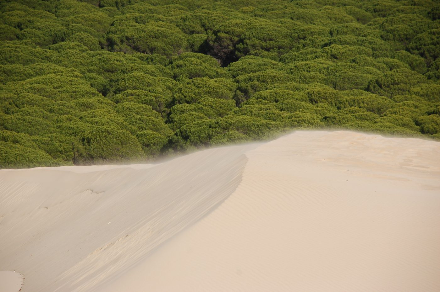 Playa de Bolonia in Tarifa, Costa de la Luz, Spain