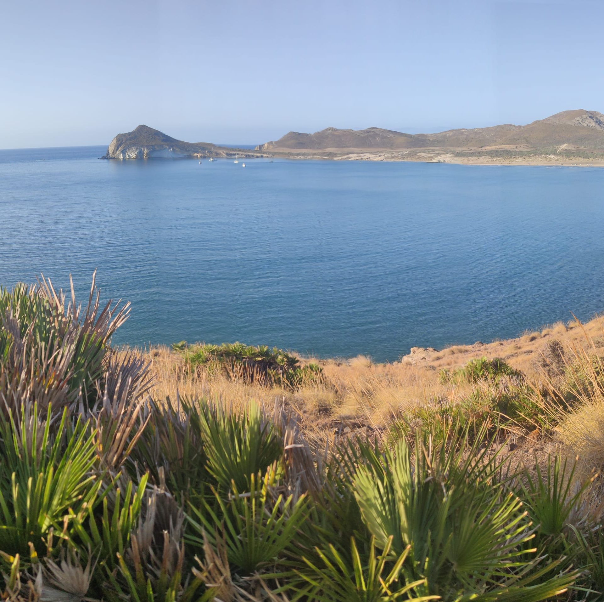 Playa de los Genoveses