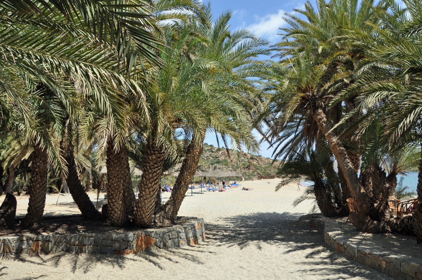Vai Palm Beach