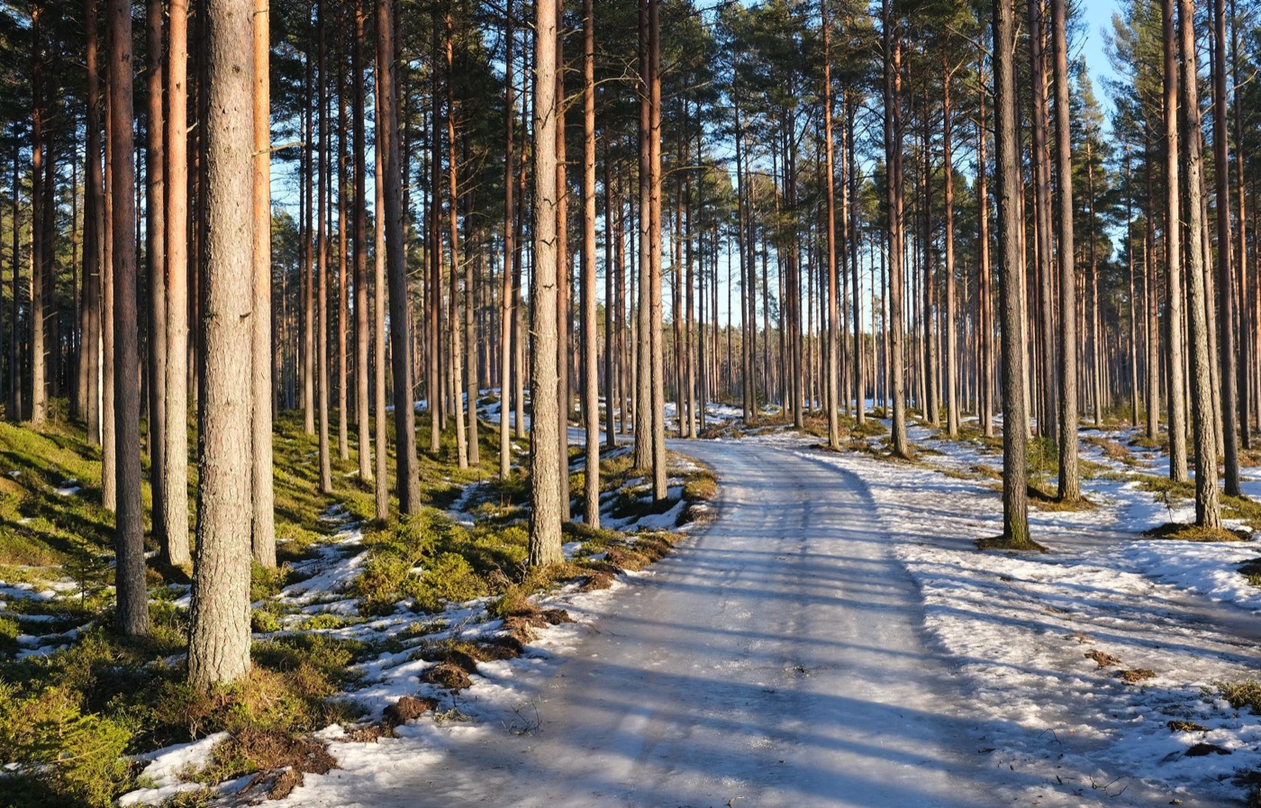 Yyteri Beach & Dunes